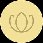 Nara Paiva logo