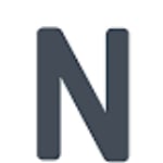 Nell Usa logo