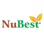 Nubest logo