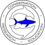 oneoceandiving.com logo