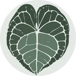 Papaya Plants logo