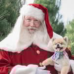 Photos With Santa logo