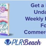 PLR Beach logo