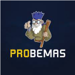 Probemas logo