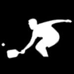 prodrivepickleball.com logo