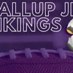 Puyallup Jr Vikings Football & Cheer logo