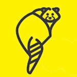racoonsocks.com logo