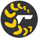 Rapid Studio logo