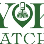 Ryoko Matcha logo