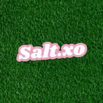 Salt.xo logo