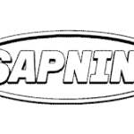 Sapnin Store logo