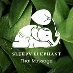 Sleepy Elephant Thai Massage logo