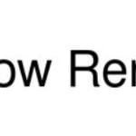 Snow Rental logo