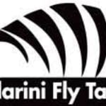 Soldarini Fly Tackle logo