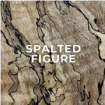 Spalted Figure logo
