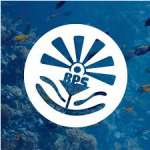 Split Boat Party logo