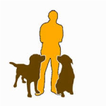 StadtFelle logo