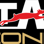 Stag Iconic logo