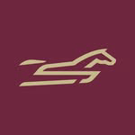 Stonestreet Merch logo