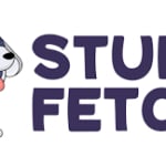 StudyFetch logo