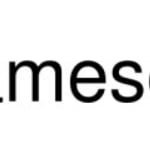 Tameson logo