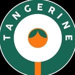 Tangerine Paddle logo