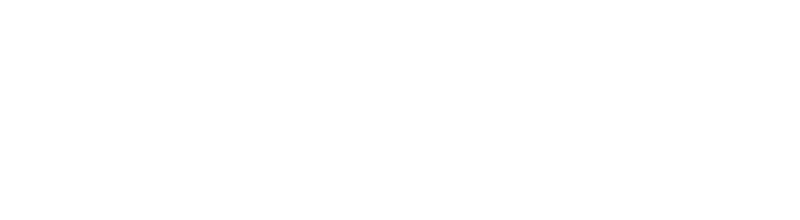 Teal Swan logo