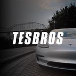 Teslabros logo