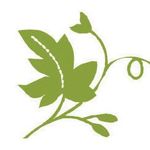 The Ivy Day Spa logo