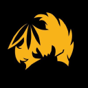 Tical logo