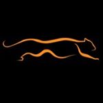 Tiger Supplies Coupons - 20% off - Sep 2024