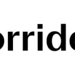 Torriden logo