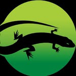 Tropical Critters logo