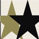 Twin Peak Primitives logo