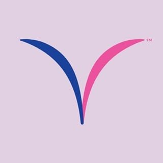 Vagisil logo