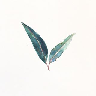 Vege Threads Coupons and Promo Code