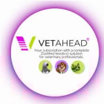 VetAhead logo