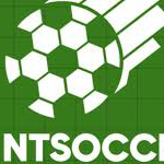 Vint Soccer logo