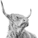 wheywardspirit.com logo