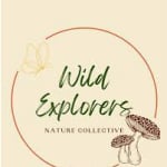 Wild Explorers logo