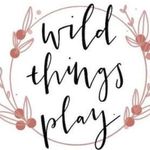 wildthingsplay.com.au logo