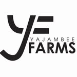 Yajambee Farms logo