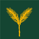 Yellow Spruce Roasters logo